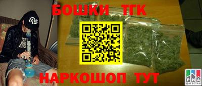 сатива Гатчина