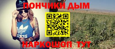сатива Гатчина