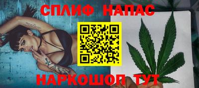 сатива Гатчина