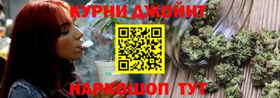 сатива Гатчина
