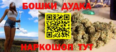 сатива Гатчина