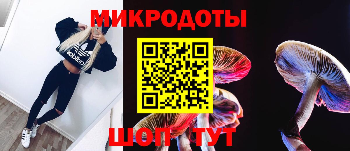 Приморско-Ахтарск  Псилоцибиновые грибы ЛСД  как найти наркотики  Вход с VPN  Галлюциногенные грибы мицелий 